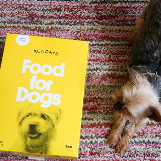 Sundays Dog Food Review 11 Sundays Food for Dogs