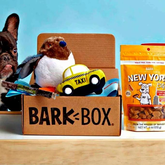 Barkbox vs Pupbox Review