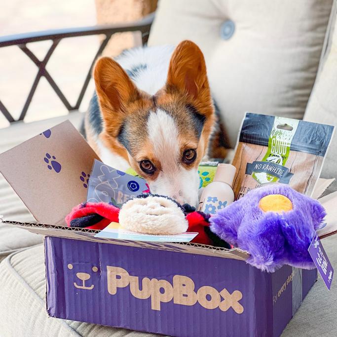 Barkbox vs Pupbox Review
