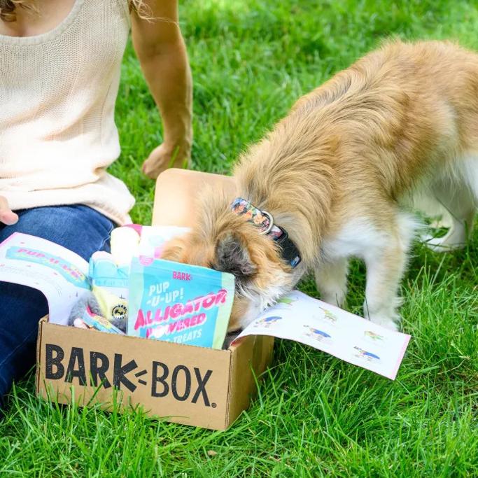 Barkbox vs Pupbox Review