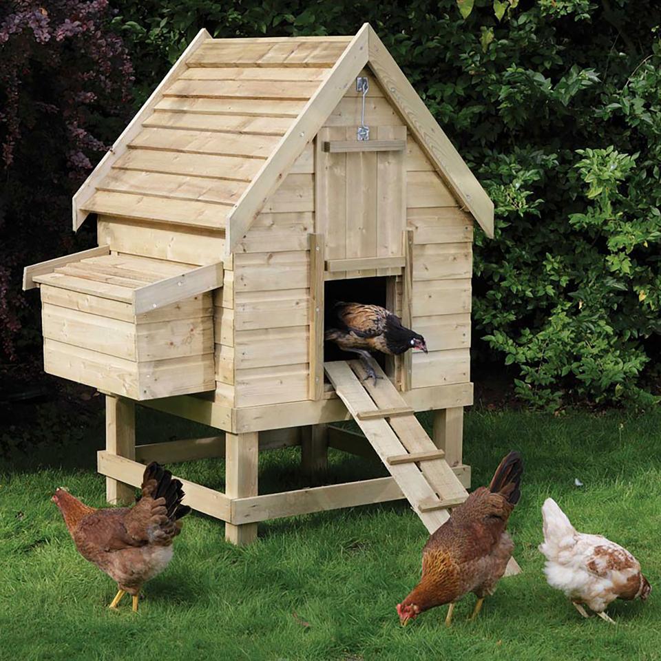 Best Chicken Coop Brands