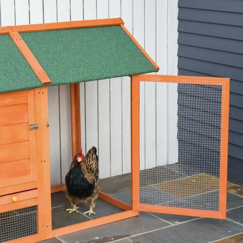 5 Best Chicken Coop Brands