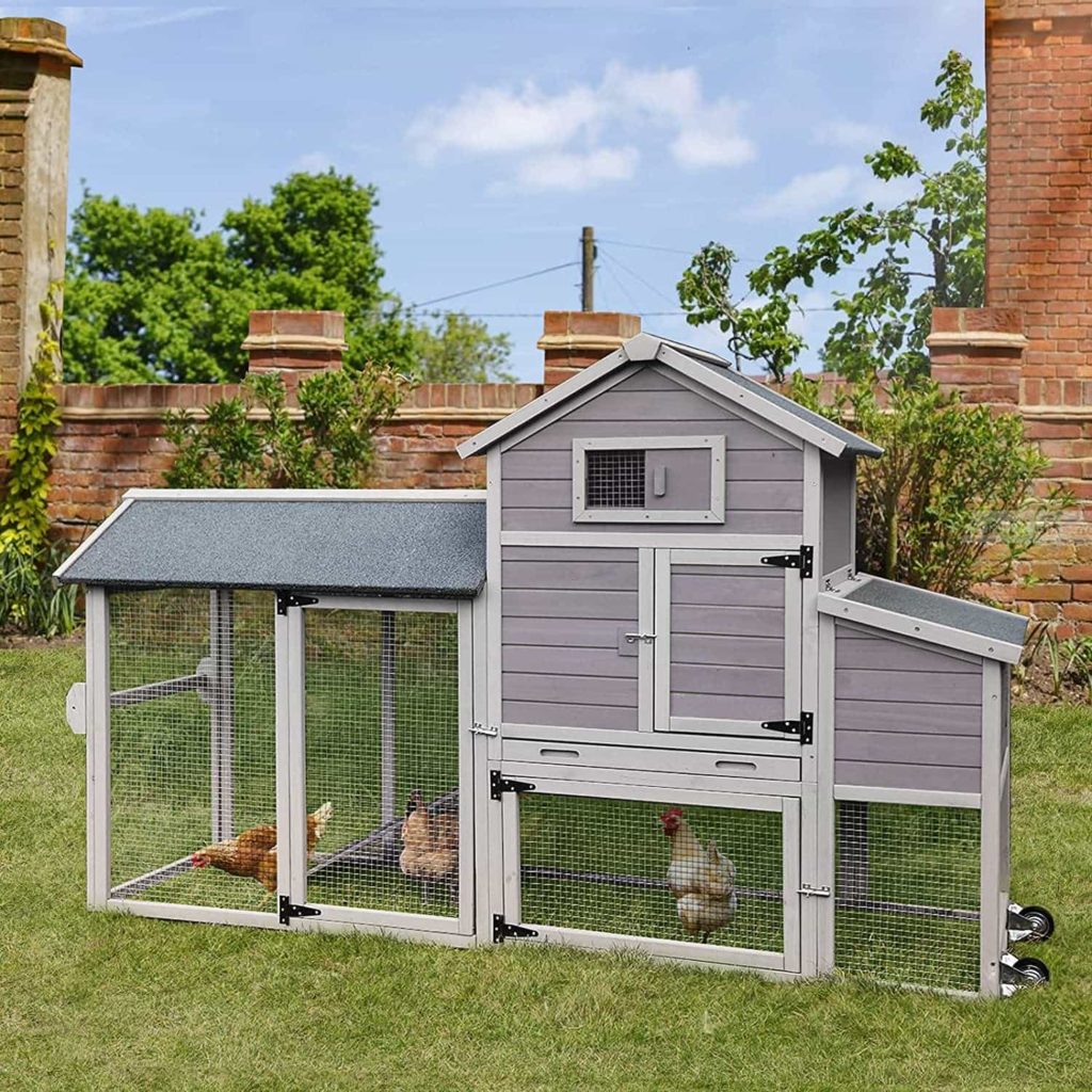 Best Chicken Coop Brands