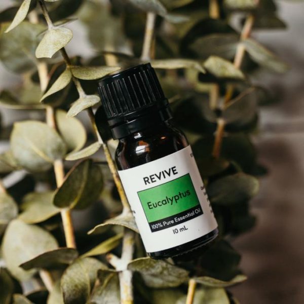 10 Best Essential Oil Brands Must Read This Before Buying