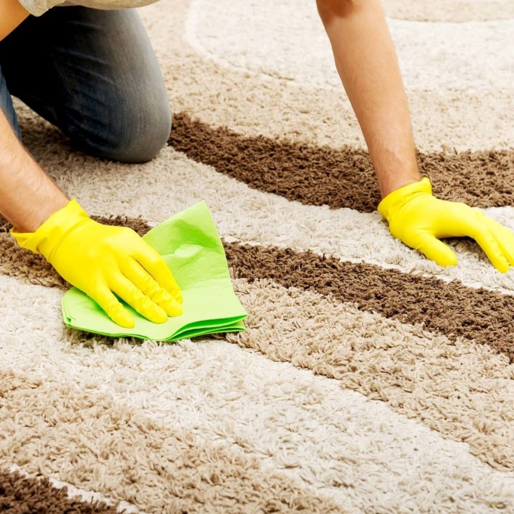 10 Best Floor Mat Cleaners