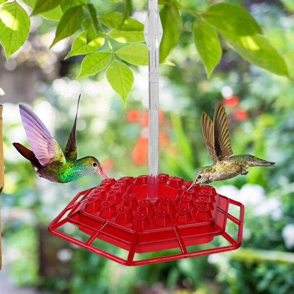 Hummingbird Feeders for Outdoors Hanging - 30 Window Bird Feeder Ports,Easy to Assemble Refill & Clean Leak-Proof Inner Bird Feeder for Nectar Jam