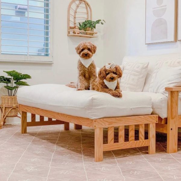 The Futon Shop Review Must Read This Before Buying