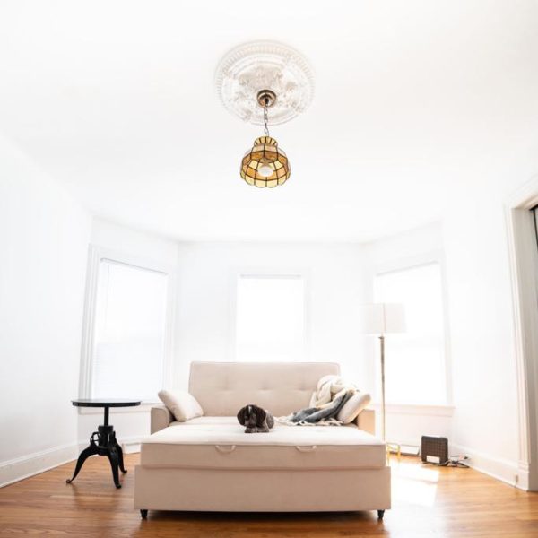 The Futon Shop Review Must Read This Before Buying