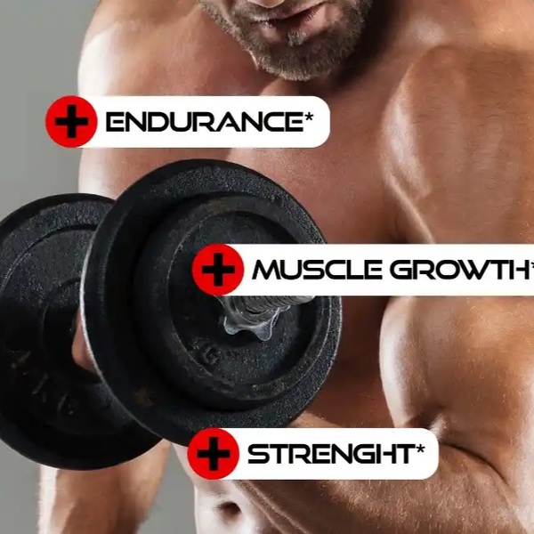 Black Forest Supplements Review 2 Black Forest Supplements Review