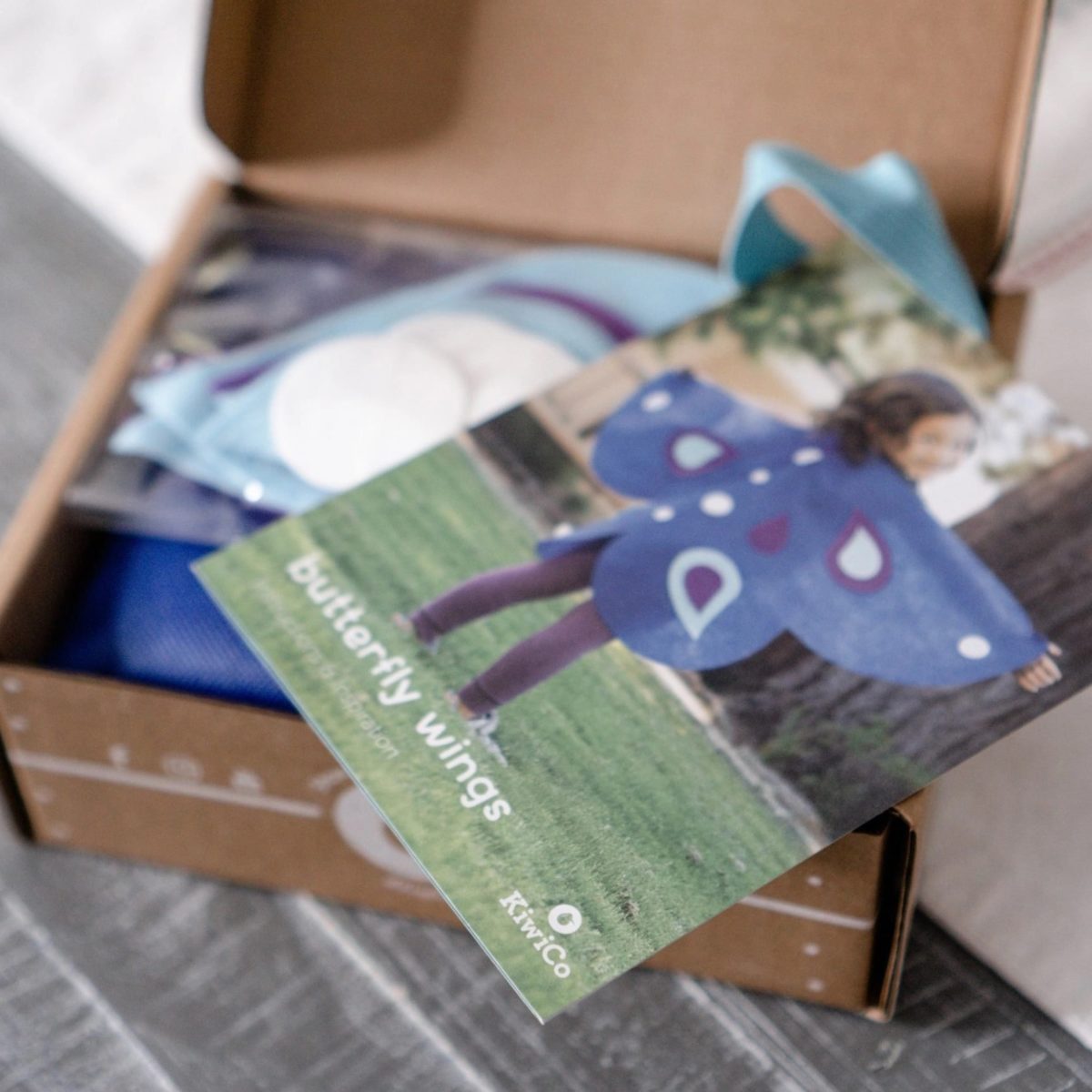 Lovevery vs Kiwico Review Must Read This Before Buying