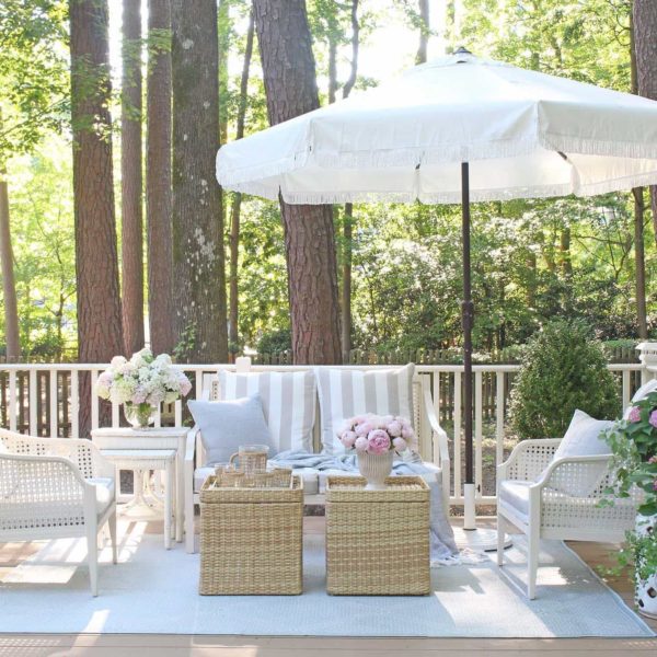 Safavieh Review Must Read This Before Buying