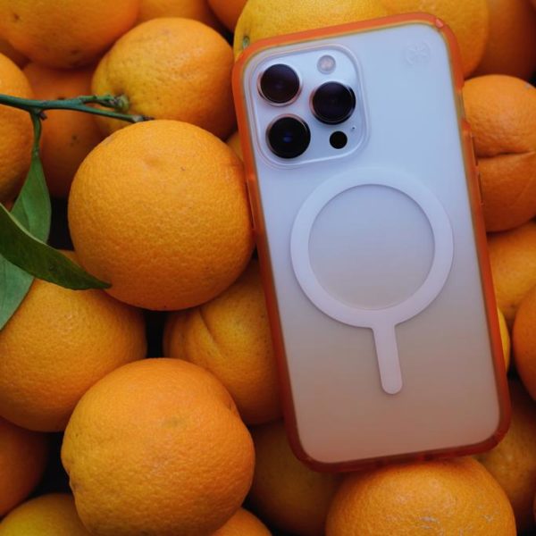 Speck Cases Review Must Read This Before Buying