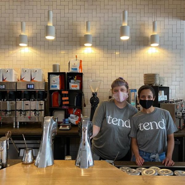 Tend Dental Review Must Read This Before Buying