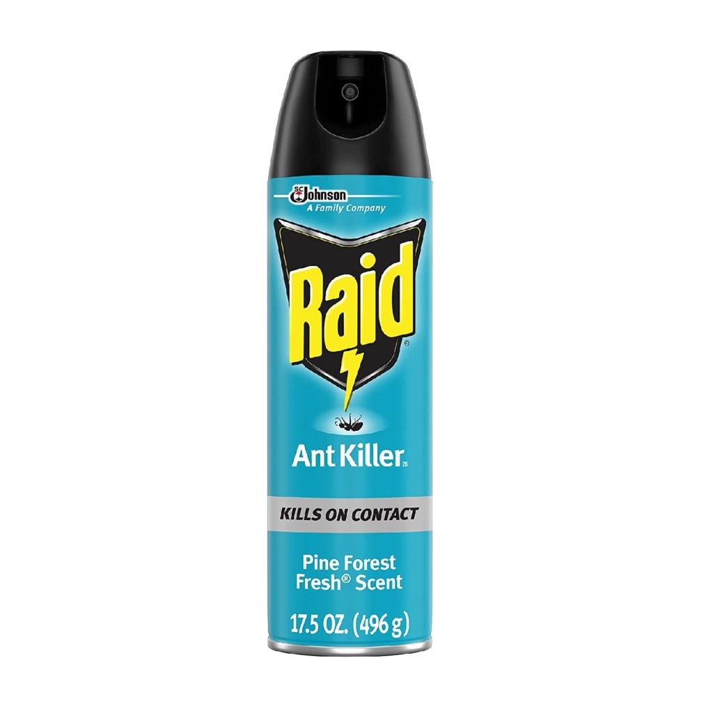 Raid Ant Killer Spray Pine Forest, 17.5 OZ (17.5 OZ ( Pack of 1 )) 