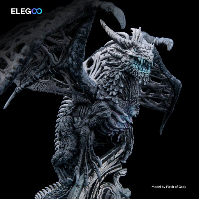 Elegoo Review