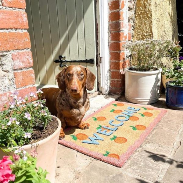 Oliver Bonas Review Must Read This Before Buying