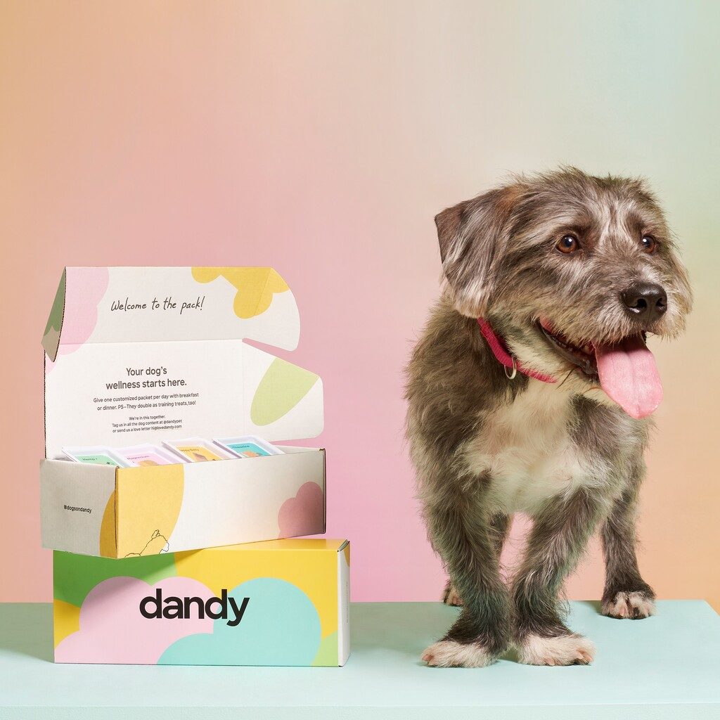 dandy Review