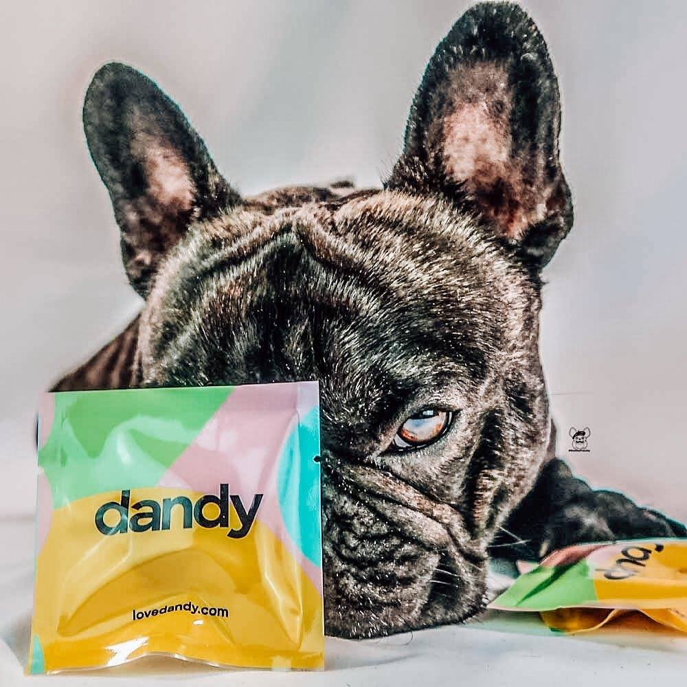 Dandy Review