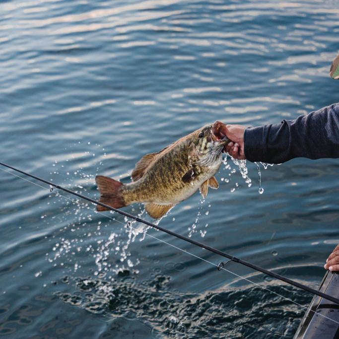 Berkley Fishing Review