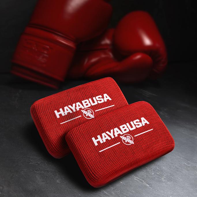 Hayabusa Review - Must Read This Before Buying