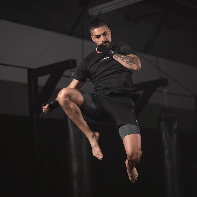 Hayabusa Review 2 Hayabusa Review