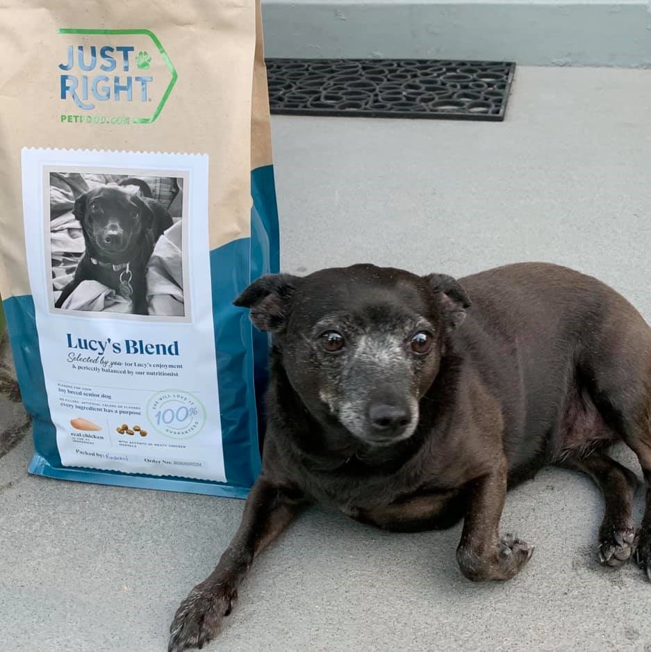 17 Best Dog Food Brands 7 Just Right