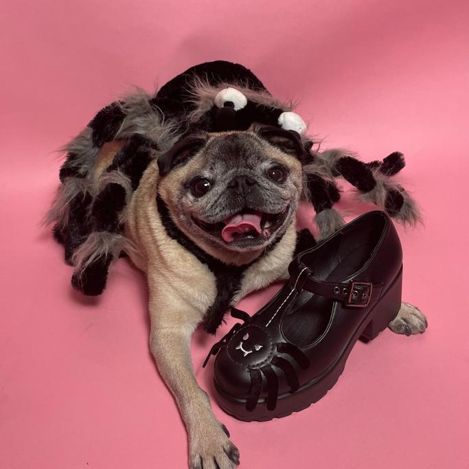 Koi Footwear Review Must Read This Before Buying