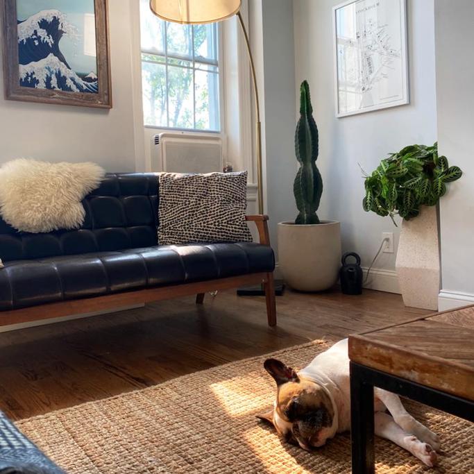 Windmill Air Conditioner Review
