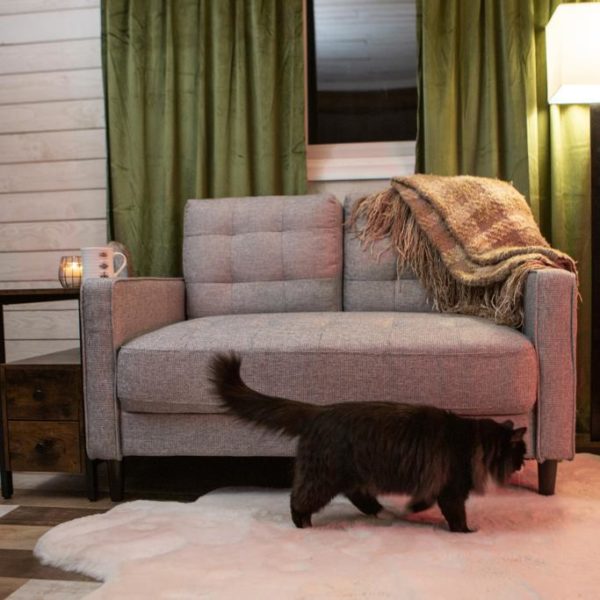 Zinus Review Must Read This Before Buying