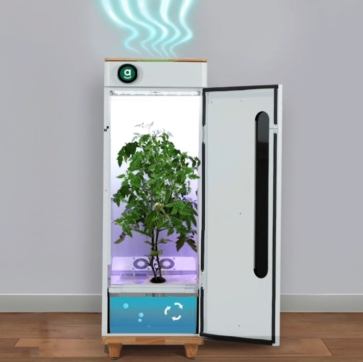 abby Grow Box Review