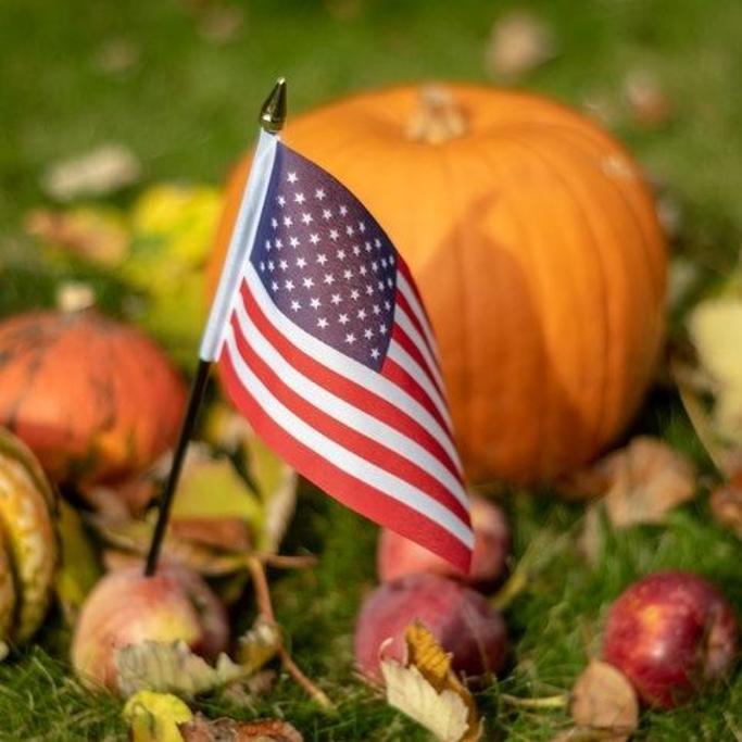 American Flags Review