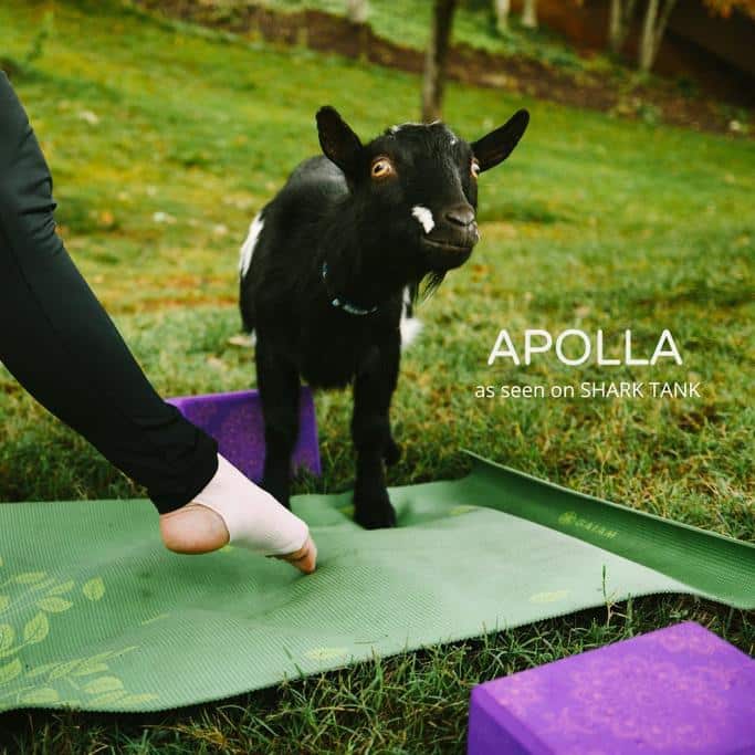Apolla Performance Wear Review