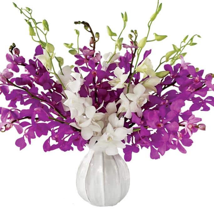 Calyx Flowers Review