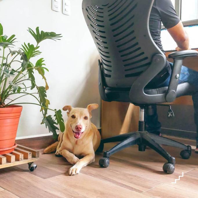 FutureLearn Review - Must Read This Before Buying