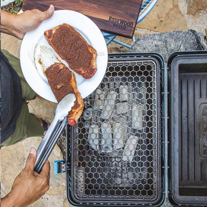 NOMAD Grill Review Must Read This Before Buying