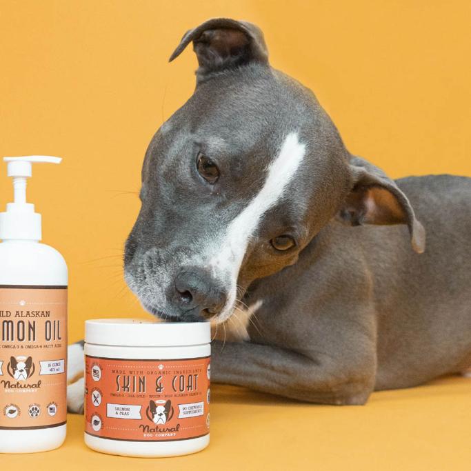 Natural Dog Company Review