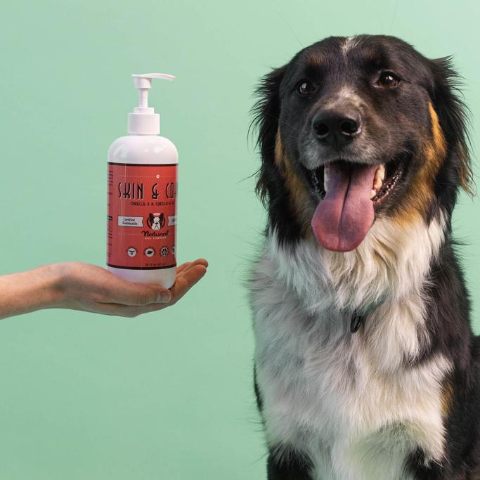 Natural Dog Company Review