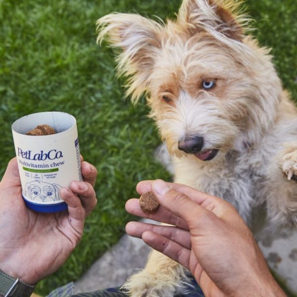 PetLab Co. Review Must Read This Before Buying