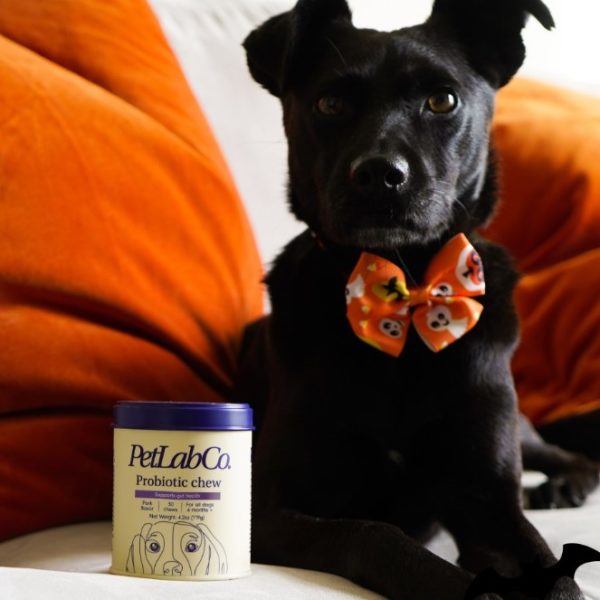 PetLab Co. Review Must Read This Before Buying