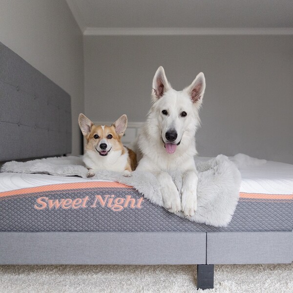 SweetNight Eye Tech Mask Review