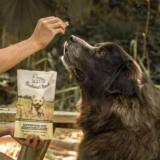 Badlands Ranch Dog Food Review