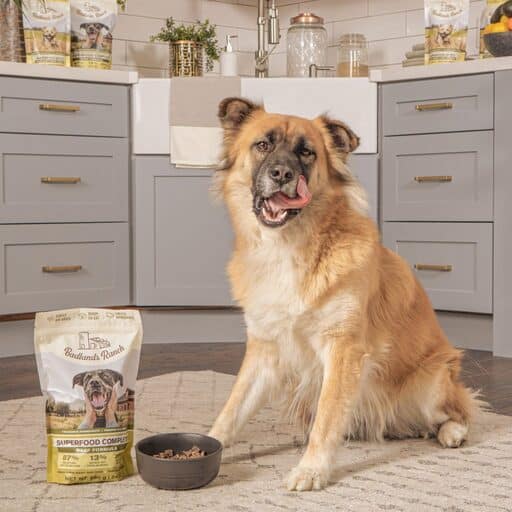 Badlands Ranch Dog Food Review