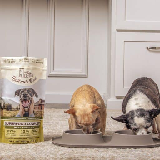 Badlands Ranch Dog Food Review