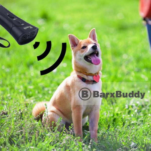 BarxBuddy Review Must Read This Before Buying