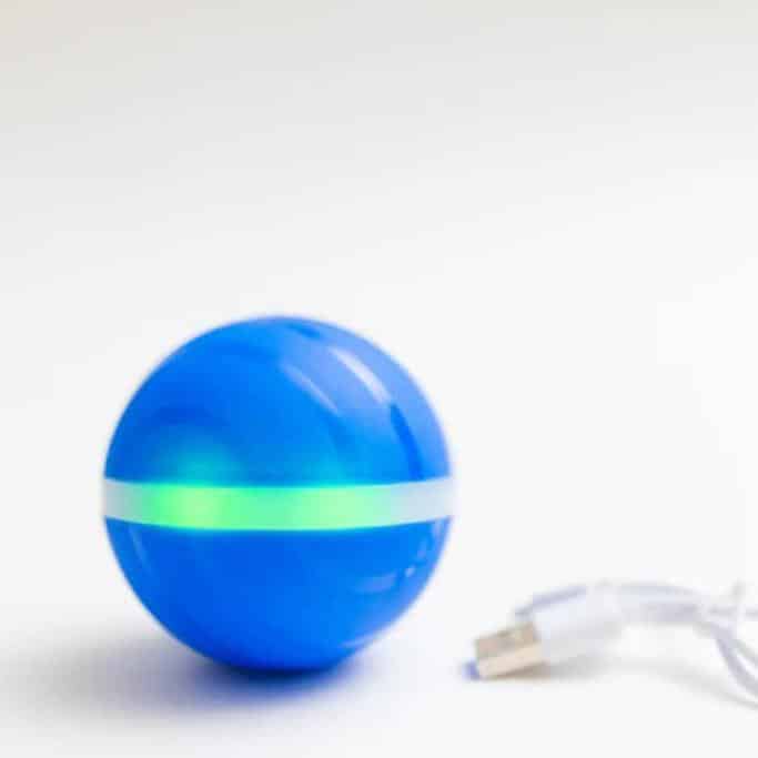 BarxBuddy Review Must Read This Before Buying