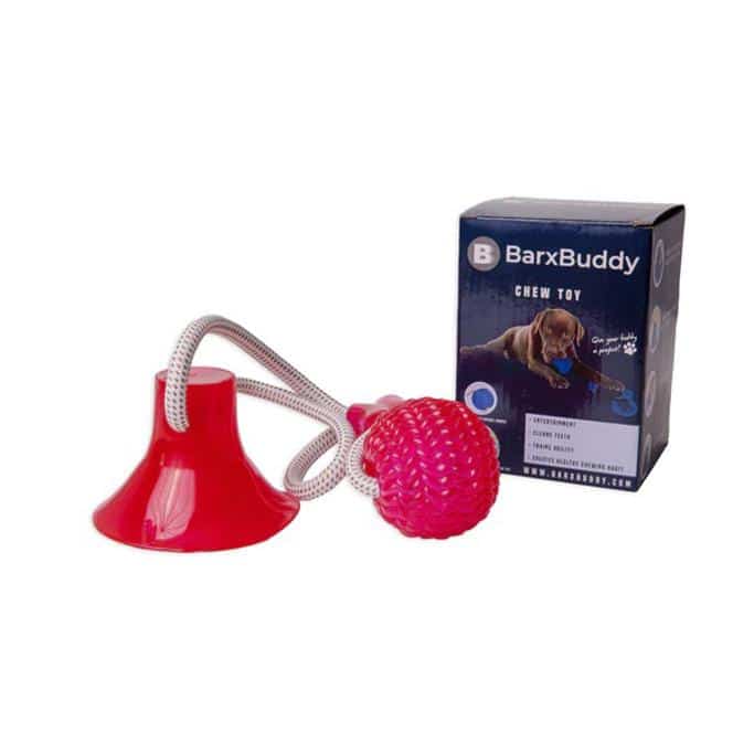 BarxBuddy Review Must Read This Before Buying