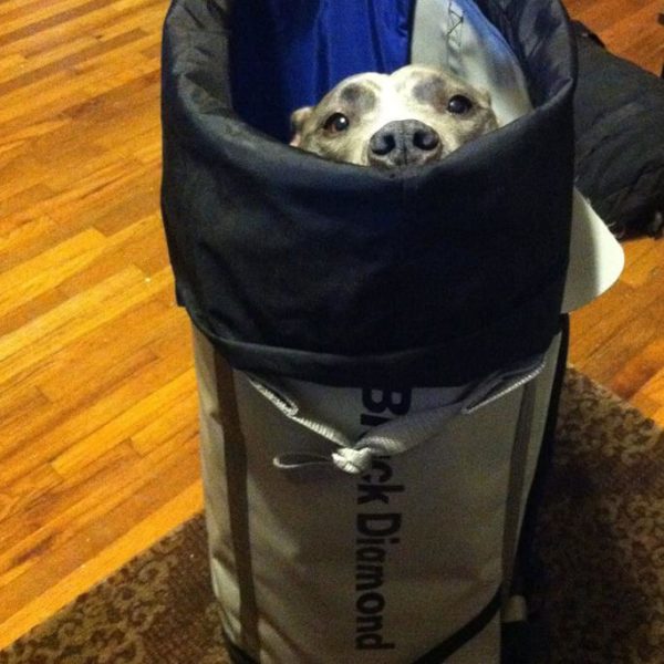 Black Diamond Equipment Review Must Read This Before Buying