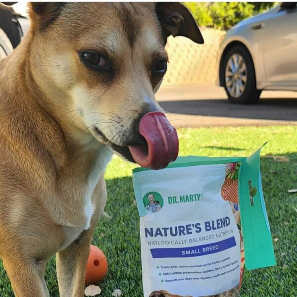 Dr. Marty Pets Nature’s Blend Review