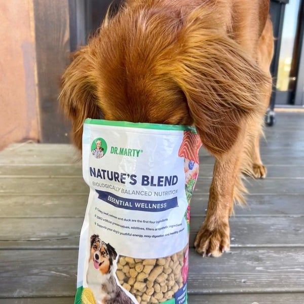 Dr. Marty Pets Nature’s Blend Review