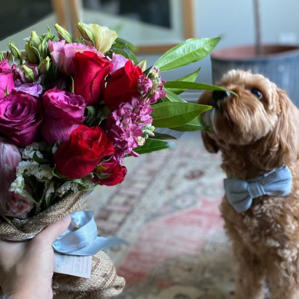 FarmGirl Flowers Review Must Read This Before Buying